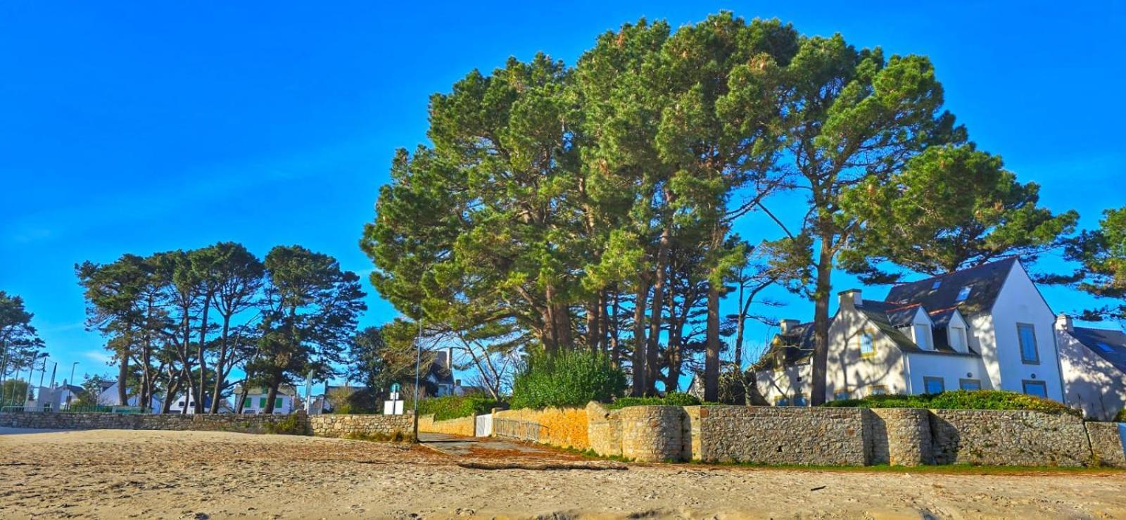 Cocon Neuf - 6 A 8 Pers 3 Chb Proche Plage, Port, Centre Ville Saint-Pierre-Quiberon Εξωτερικό φωτογραφία